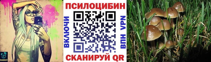 Галлюциногенные грибы Psilocybe  мега ONION  Орлов  что такое наркотик 
